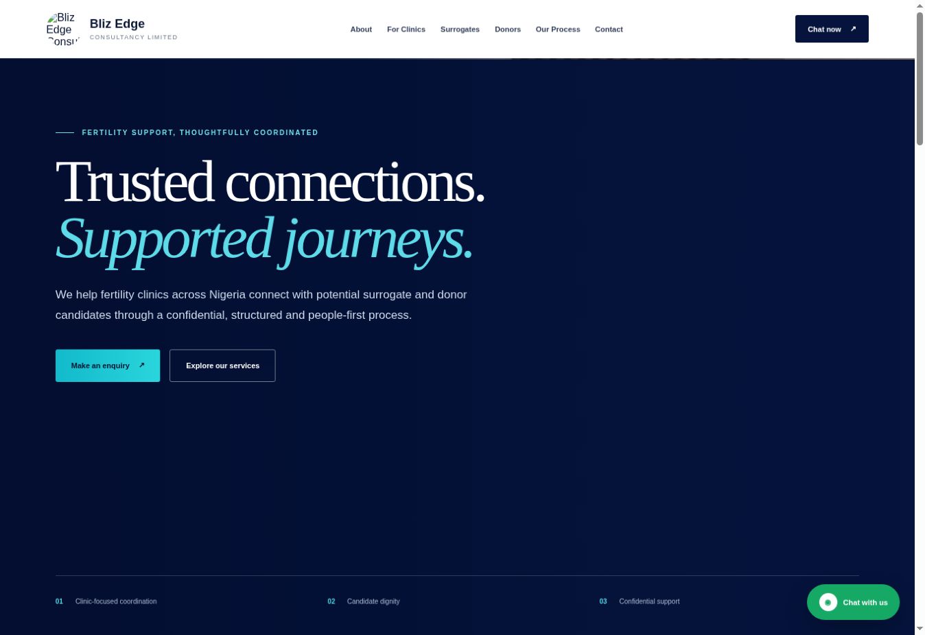 Bliz Edge Consultancy website screenshot