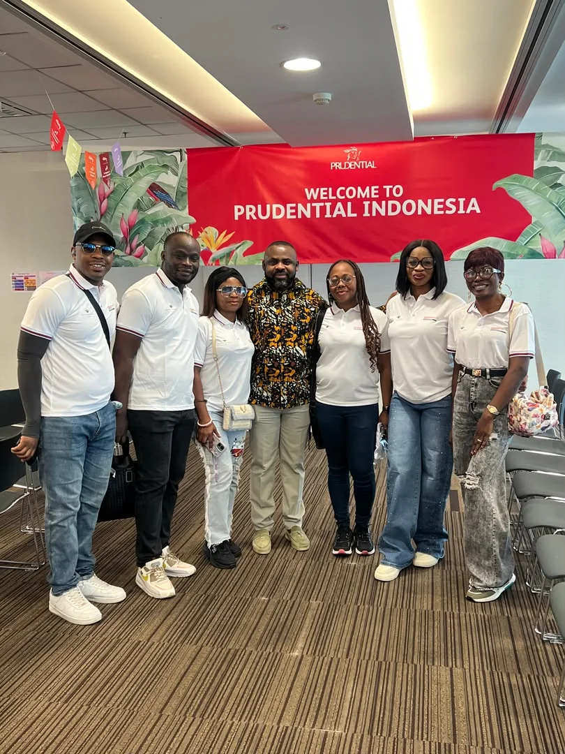 International professional delegation experience